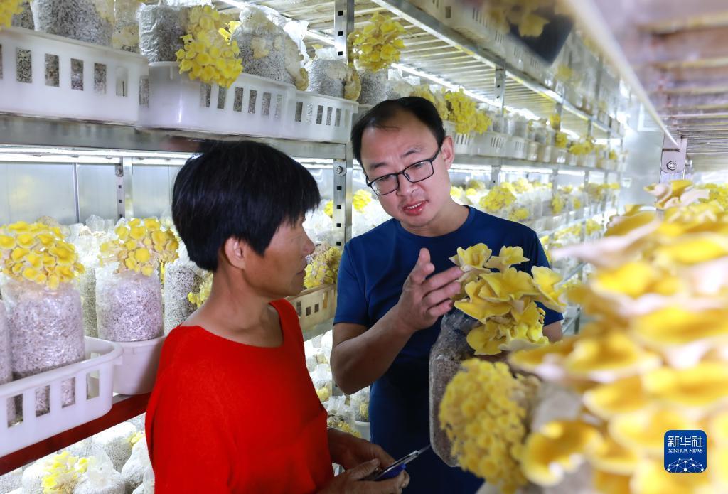 pt千亿客户端下载